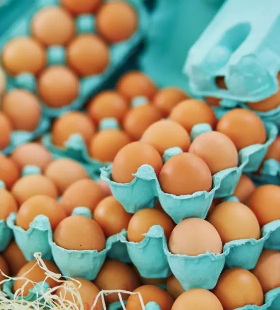 Grossiste alimentaire en Franche-Comté : des produits locaux, frais ou d’épicerie