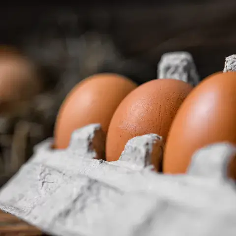 Grossiste alimentaire en Franche-Comté : des produits locaux, frais ou d’épicerie